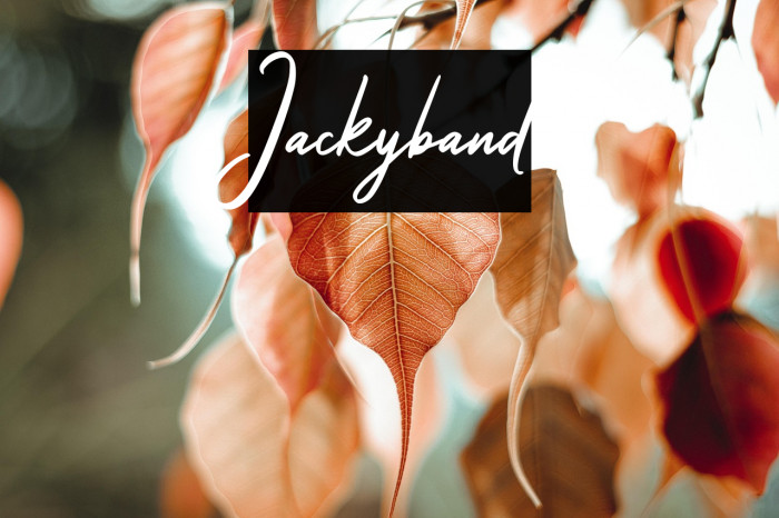 Jackyband Example 1