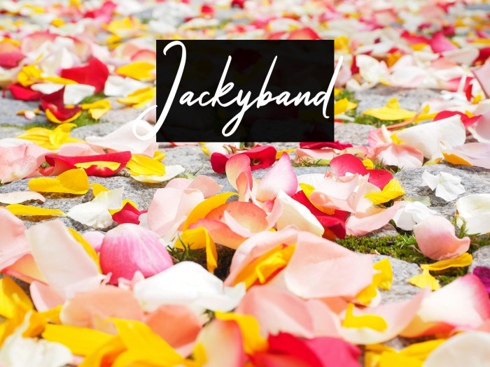 Jackyband Example 3