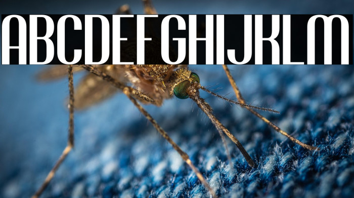 Jacob and son Example 1