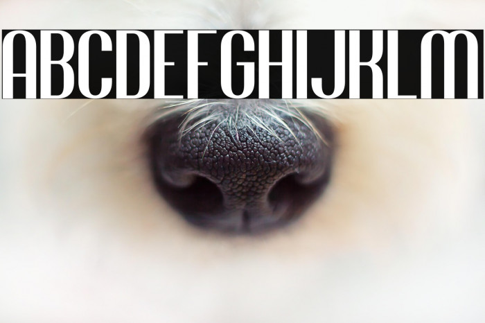 Jacob and son Example 2