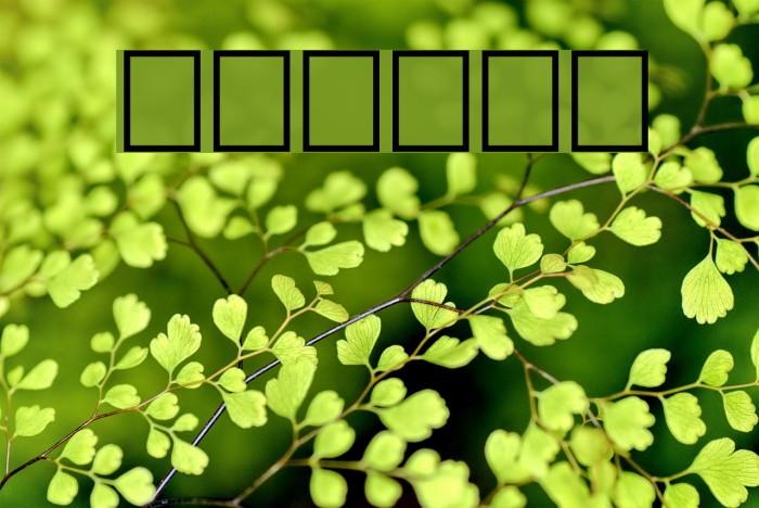 Jacobi Font examples