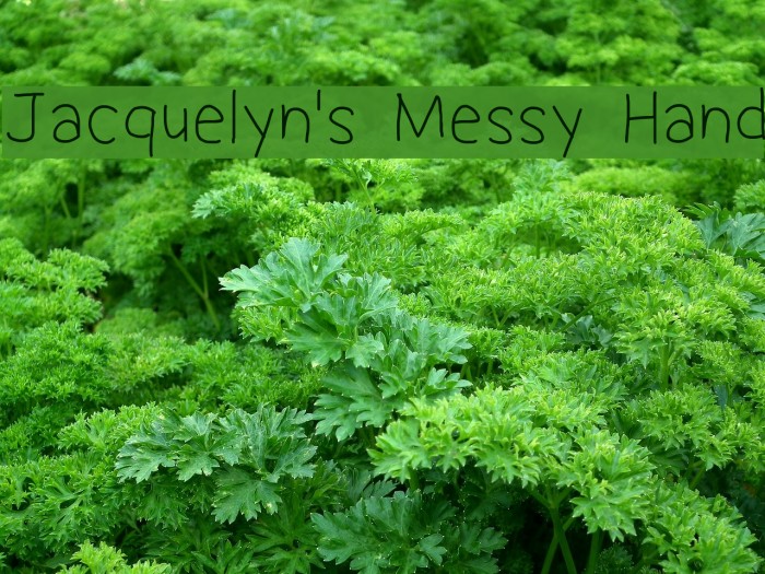 Jacquelyn's Messy Hand Font examples