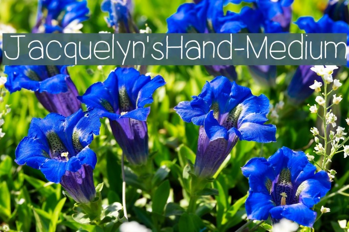 Jacquelyn'sHand-Medium Font examples