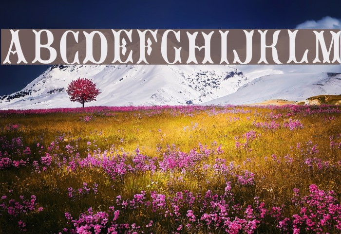 Jacques Regular Font examples
