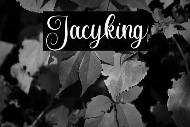 Jacyking Font examples