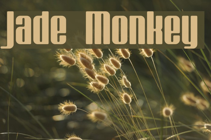 Jade Monkey Schriftart examples
