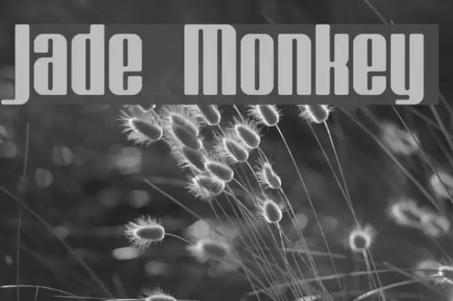 Jade Monkey Schriftart examples