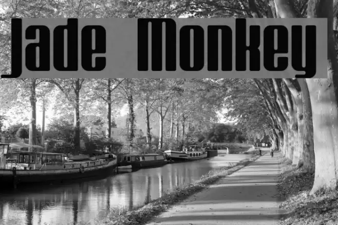 Jade Monkey Schriftart examples