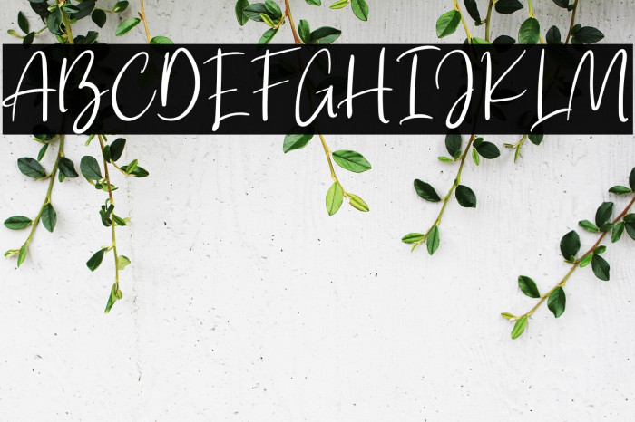 Jade Rosse Example 1