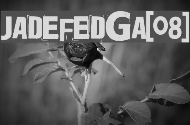 Jadefedga[08] Font examples