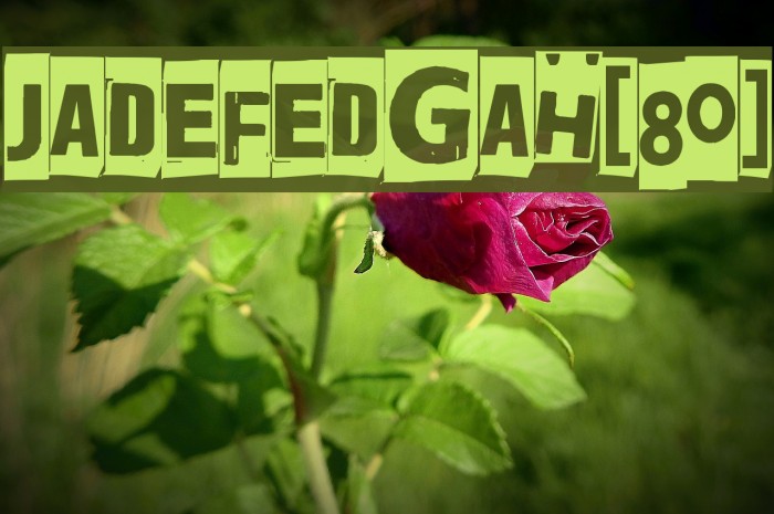 Jadefedgah[80] Example 1