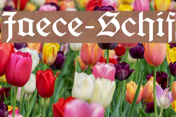 Jaecker-Schrift Example 2