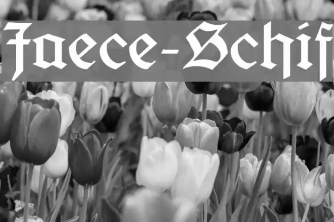 Jaecker-Schrift Font examples