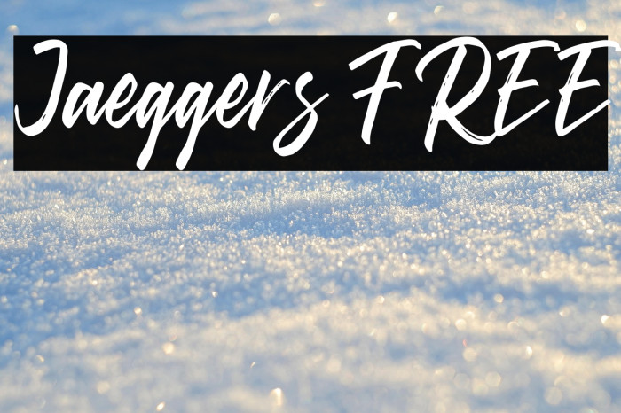 Jaeggers FREE Example 2