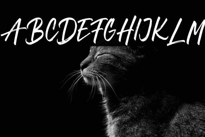 JaeggersFREE Example 1