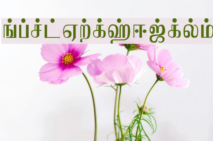 Jaffna Normal Font examples