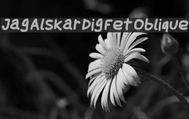 Jag Alskar Dig Fet Oblique Schriftart examples
