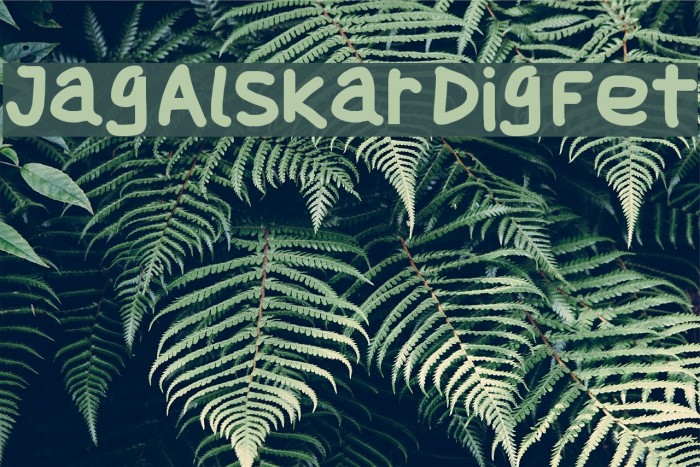 Jag Alskar Dig Fet Font examples
