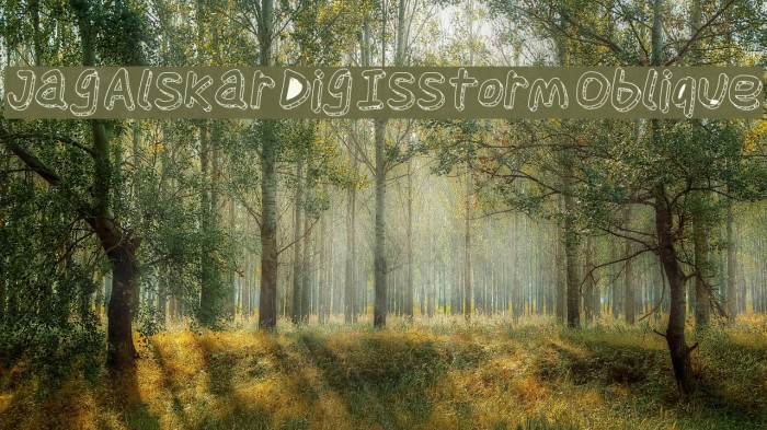 Jag Alskar Dig Isstorm Oblique Font examples