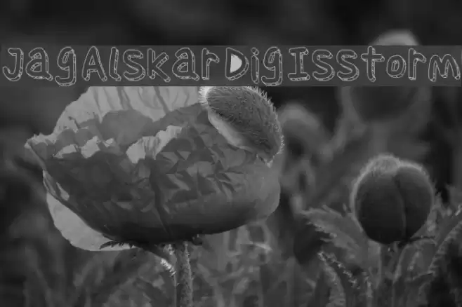 Jag Alskar Dig Isstorm Font examples