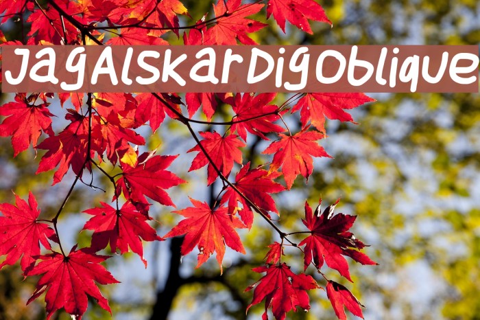 Jag Alskar Dig Oblique Font examples