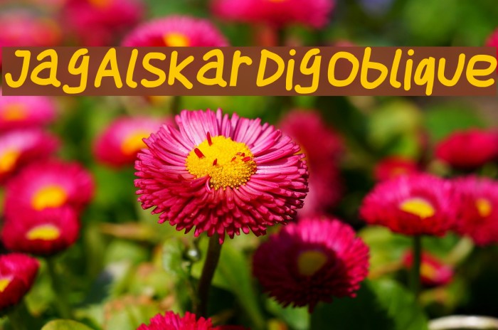Jag Alskar Dig Oblique Font examples