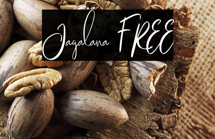 Jagalana FREE Example 1