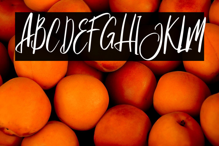 JagalanaFREE Example 2