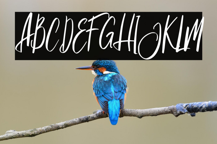 JagalanaFREE Example 3