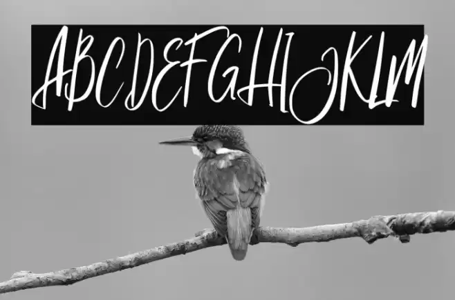 JagalanaFREE Font examples