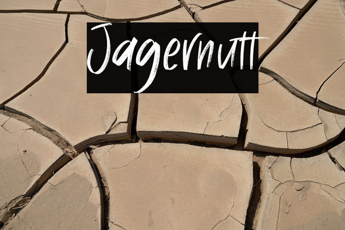 Jagernutt Example 1