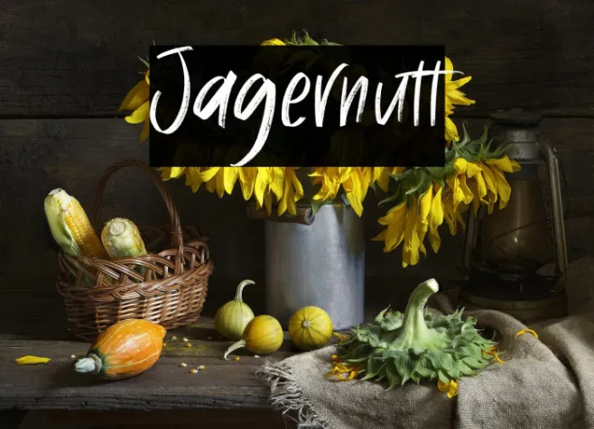 Jagernutt Example 2