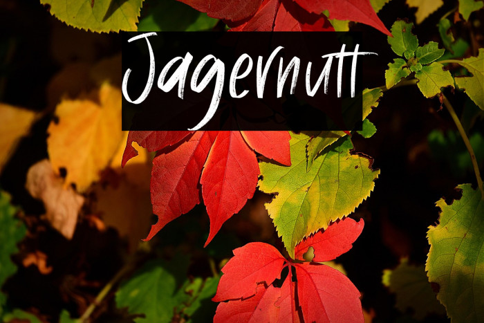 Jagernutt Example 3