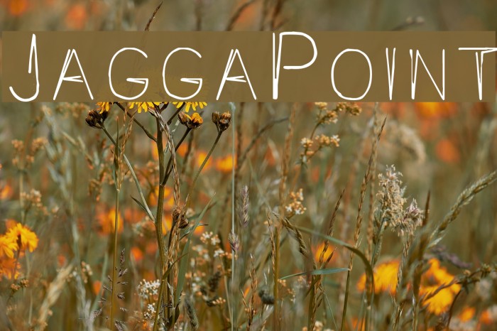 JaggaPoint Font examples