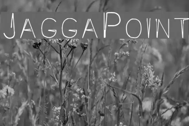 JaggaPoint Caratteri examples