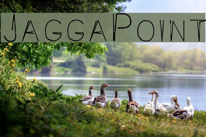 JaggaPoint Font examples