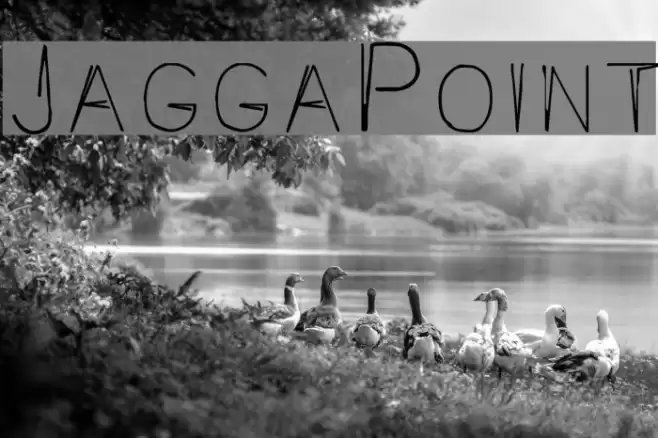 JaggaPoint Caratteri examples