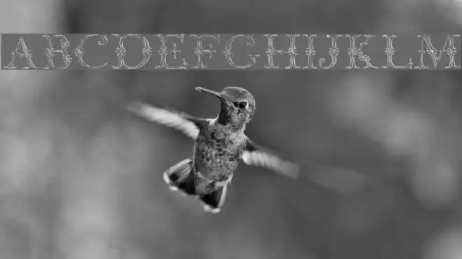 Jaggard Two Font examples