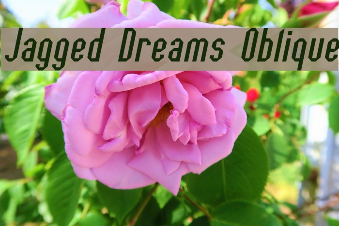 Jagged Dreams Oblique Font examples