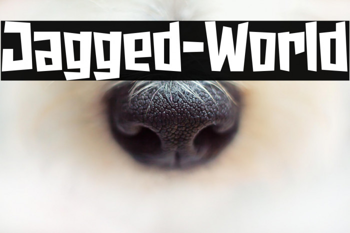 Jagged-World Example 2