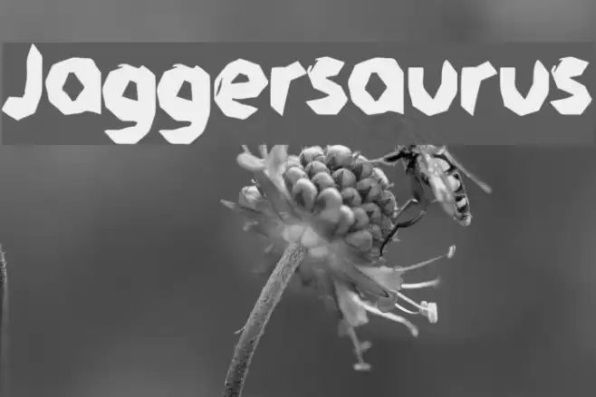 Jaggersaurus Font examples