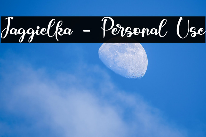 Jaggielka - Personal Use Example 3