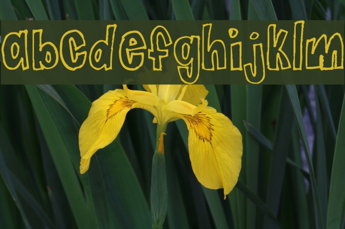 Jaggy Fries Font examples