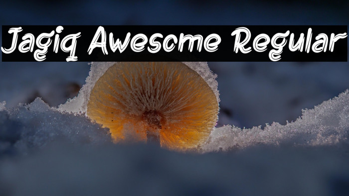 Jagiq Awesome Regular Example 1