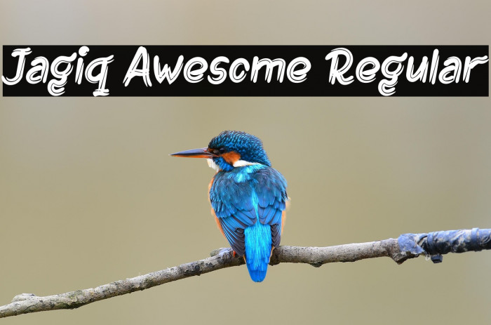 Jagiq Awesome Regular Example 2