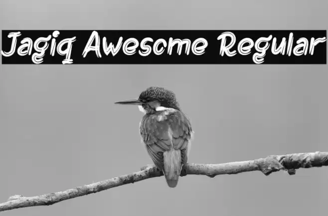 Jagiq Awesome Regular Font examples
