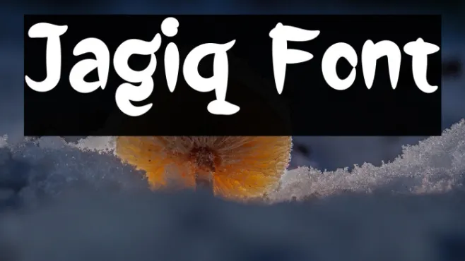 Jagiq Example 2