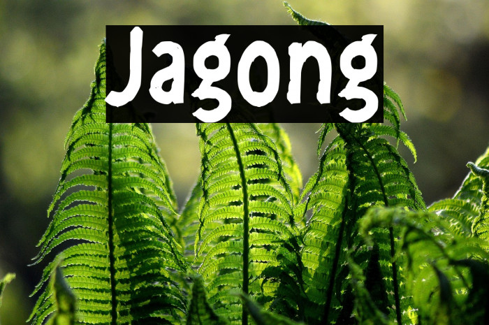 Jagong Example 2