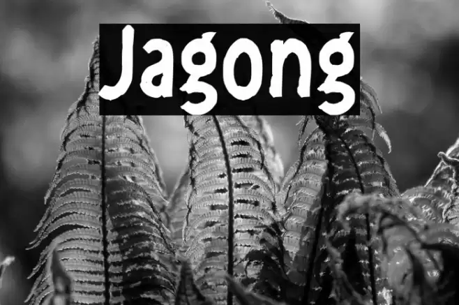 Jagong Font examples