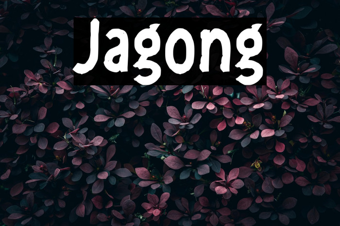 Jagong Example 3